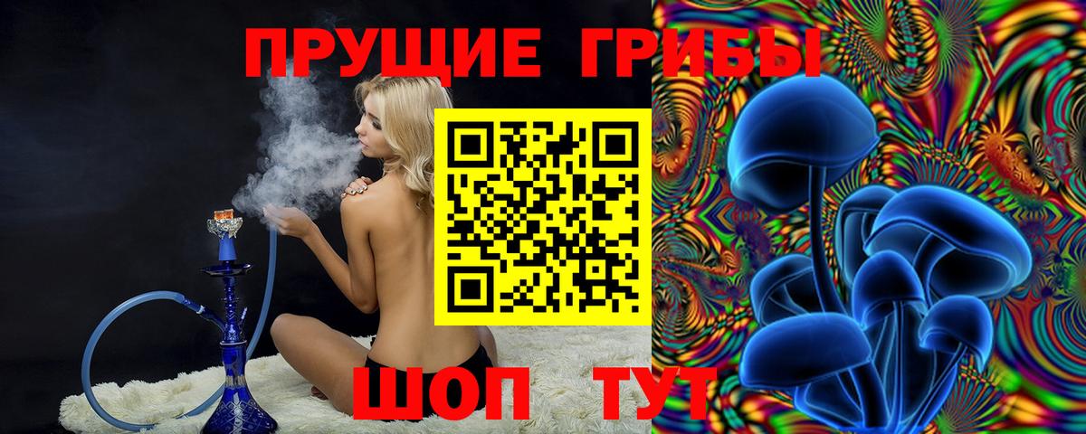 Псилоцибиновые грибы Cubensis Ликино-Дулёво